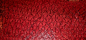 Preview: Koi carp reather – red